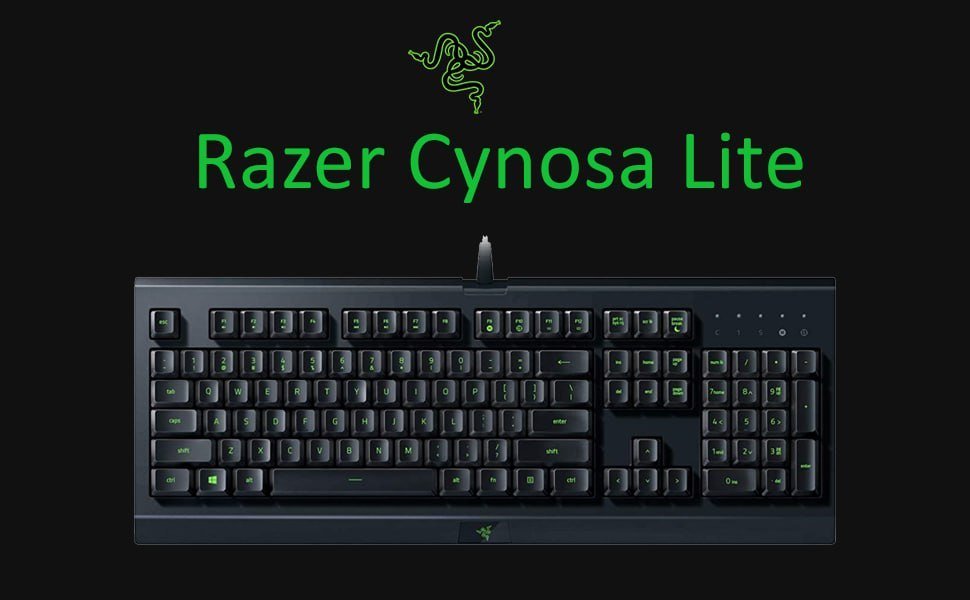 Teclado Gamer Razer Cynosa Lite 🎮⌨️