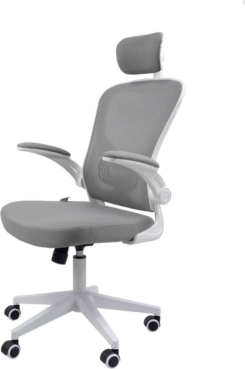 Cadeira Ergonômica Eurynom 🛒