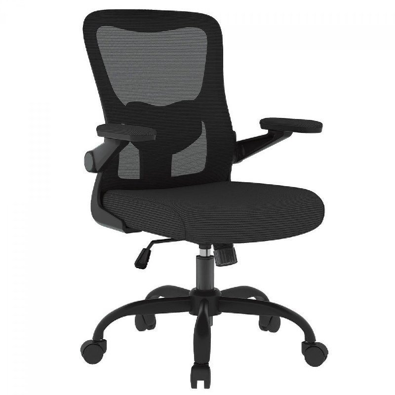 Cadeira de Escritório FlexiSpot OCB1-Lite, Ajustável, 3D, Mesh, Preta 🛒