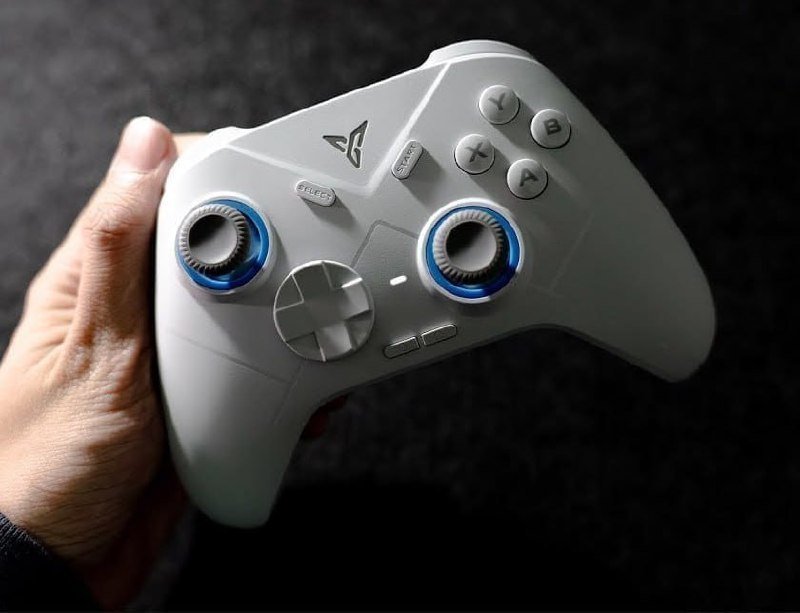 Controle Flydigi Direwolf 4 🎮