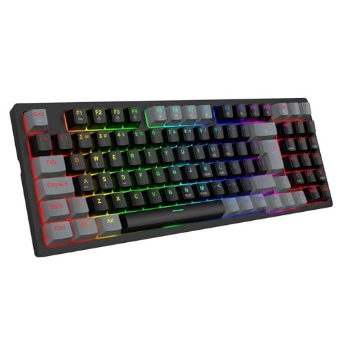 😱 Teclado Mecânico Gamer com Fio 95 Teclas, RGB com 20 Modos de Iluminação, Switch Vermelho Hot Swap, Anti Ghosting, Teclado Compacto USB para PC, Notebook, Windows e Mac (Preto)