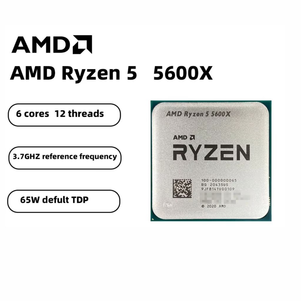😱 Ryzen 5 5600X