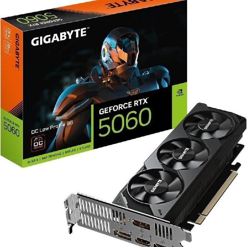 😱 Placa de Video Gigabyte GeForce RTX 5060 Low Profile 8G