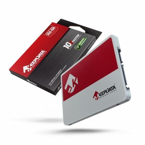 😱 SSD 256GB 2.5 KEEPDATA KDS256G-L21