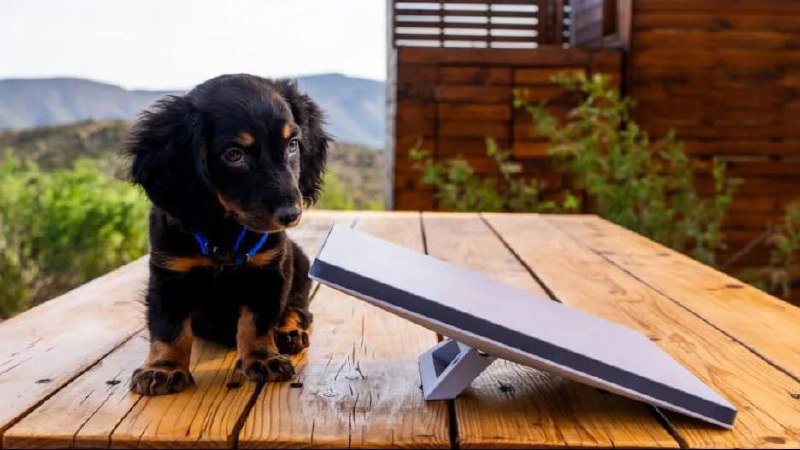 Kit Internet Satélite Starlink Mini V4 🌐🚀